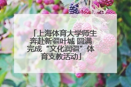 上海体育大学师生奔赴新疆叶城 圆满完成“文化润疆”体育支教活动