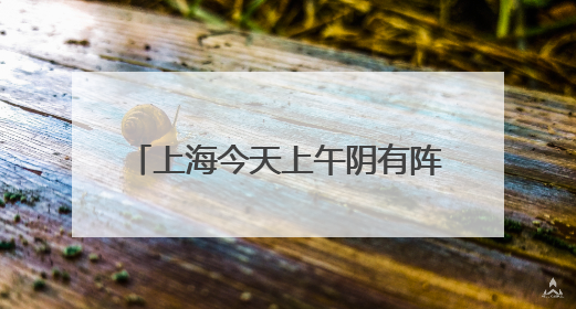 上海今天上午阴有阵雨或雷雨，局部地区雨量可达大到暴雨