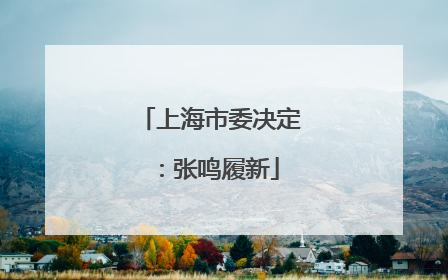 上海市委决定：张鸣履新