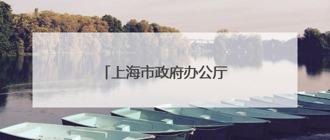 上海市政府办公厅主任王平，履新职