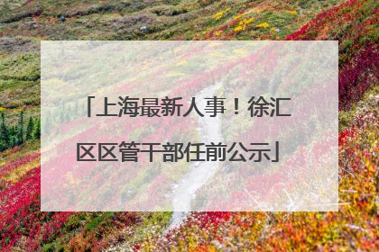 上海最新人事！徐汇区区管干部任前公示
