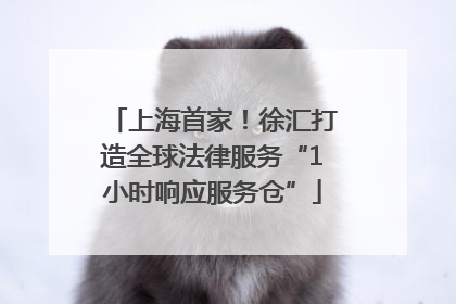 上海首家！徐汇打造全球法律服务“1小时响应服务仓”
