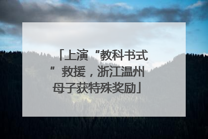 上演“教科书式”救援，浙江温州母子获特殊奖励