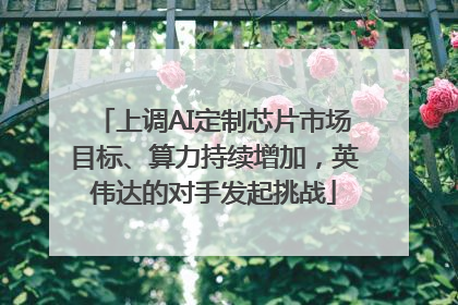上调AI定制芯片市场目标、算力持续增加，英伟达的对手发起挑战