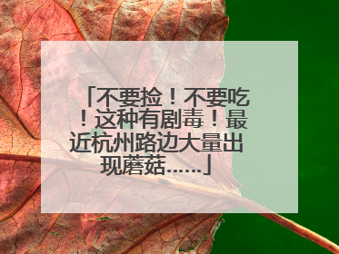 不要捡！不要吃！这种有剧毒！最近杭州路边大量出现蘑菇……