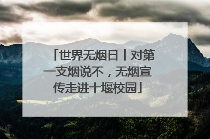 世界无烟日丨对第一支烟说不，无烟宣传走进十堰校园