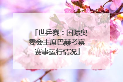 世乒赛：国际奥委会主席巴赫考察赛事运行情况