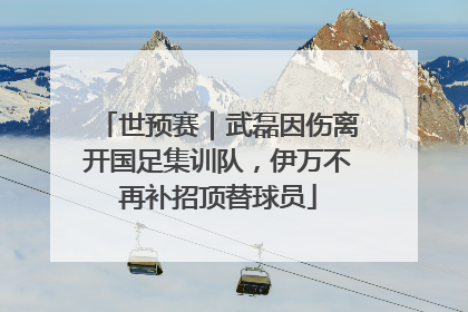 世预赛｜武磊因伤离开国足集训队，伊万不再补招顶替球员