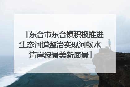 东台市东台镇积极推进生态河道整治实现河畅水清岸绿景美新愿景