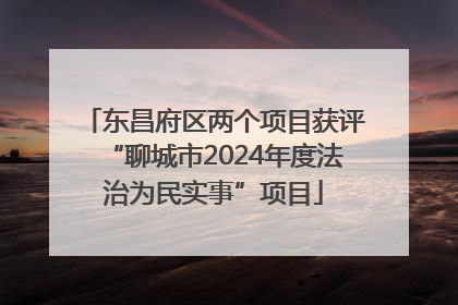 东昌府区两个项目获评“聊城市2024年度法治为民实事”项目