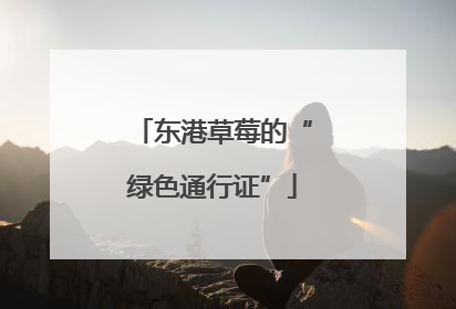 东港草莓的“绿色通行证”