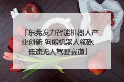 东莞发力智能机器人产业创新 狗熊机器人领跑低速无人驾驶赛道