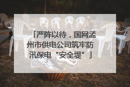 严阵以待,国网孟州市供电公司筑牢防汛保电“安全堤”