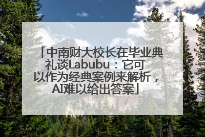 中南财大校长在毕业典礼谈Labubu：它可以作为经典案例来解析，AI难以给出答案