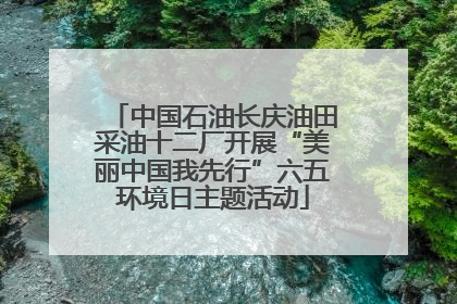 中国石油长庆油田采油十二厂开展“美丽中国我先行”六五环境日主题活动