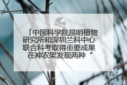 中国科学院昆明植物研究所和深圳兰科中心联合科考取得重要成果 在神农架发现两种“国保”级兰花