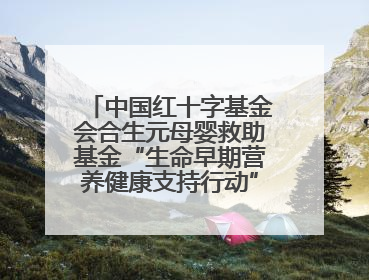 中国红十字基金会合生元母婴救助基金“生命早期营养健康支持行动”走进新疆，开启守护母婴新篇章！