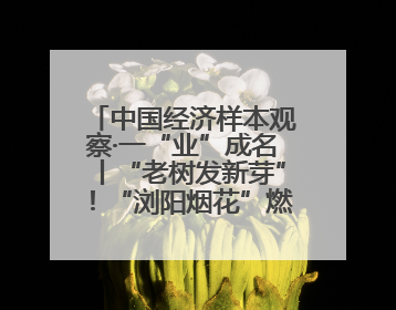 中国经济样本观察·一“业”成名丨“老树发新芽”！“浏阳烟花”燃亮世界