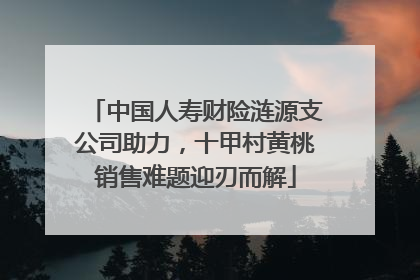中国人寿财险涟源支公司助力，十甲村黄桃销售难题迎刃而解