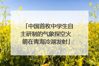 中国首枚中学生自主研制的气象探空火箭在青海冷湖发射