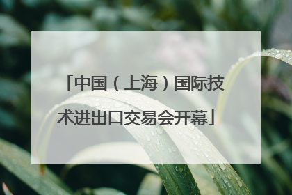 中国（上海）国际技术进出口交易会开幕