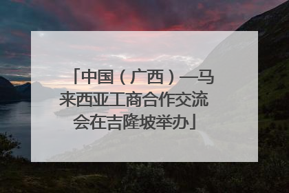 中国（广西）—马来西亚工商合作交流会在吉隆坡举办