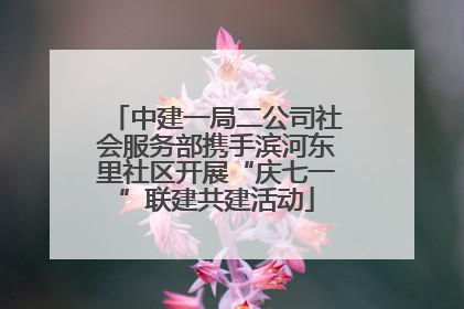 中建一局二公司社会服务部携手滨河东里社区开展“庆七一”联建共建活动