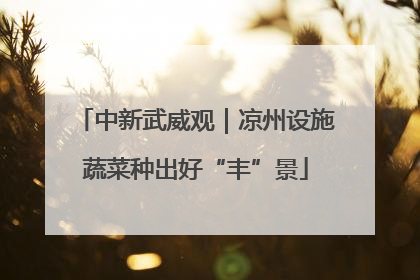 中新武威观｜凉州设施蔬菜种出好“丰”景