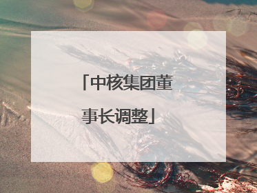 中核集团董事长调整