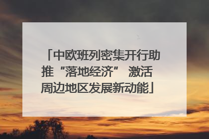 中欧班列密集开行助推“落地经济” 激活周边地区发展新动能