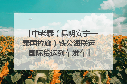 中老泰（昆明安宁—泰国拉廊）铁公海联运国际货运列车发车
