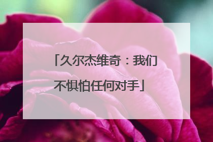 久尔杰维奇：我们不惧怕任何对手