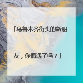 乌鲁木齐街头的新朋友，你偶遇了吗？
