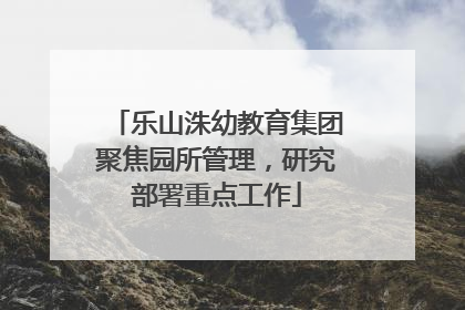 乐山洙幼教育集团聚焦园所管理，研究部署重点工作