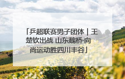 乒超联赛男子团体｜王楚钦出战 山东魏桥·向尚运动胜四川丰谷