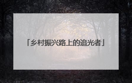 乡村振兴路上的追光者