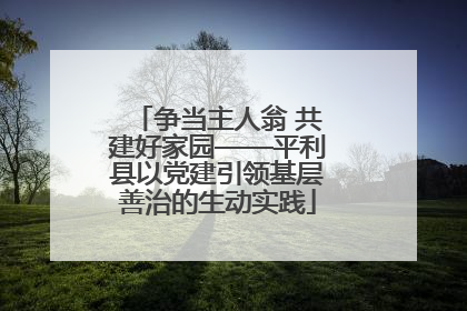 争当主人翁 共建好家园——平利县以党建引领基层善治的生动实践
