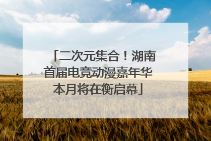 二次元集合！湖南首届电竞动漫嘉年华本月将在衡启幕