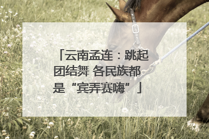 云南孟连：跳起团结舞 各民族都是“宾弄赛嗨”