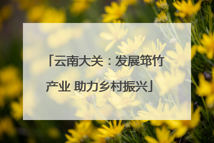 云南大关：发展筇竹产业 助力乡村振兴