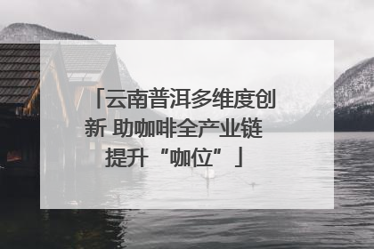 云南普洱多维度创新 助咖啡全产业链提升“咖位”