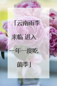 云南雨季来临 进入一年一度吃菌季