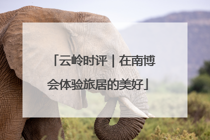 云岭时评｜在南博会体验旅居的美好