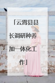 云霄县县长调研种养加一体化工作