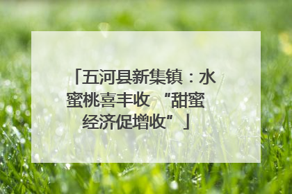五河县新集镇：水蜜桃喜丰收 “甜蜜经济促增收”