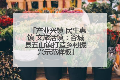 产业兴镇 民生惠镇 文旅活镇：谷城县五山镇打造乡村振兴示范样板