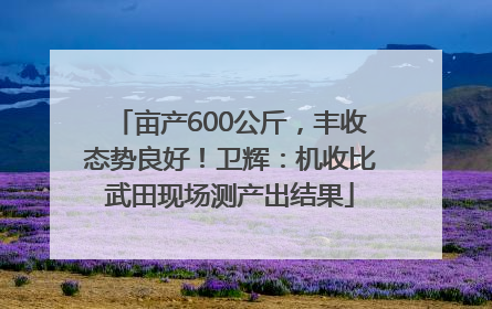 亩产600公斤，丰收态势良好！卫辉：机收比武田现场测产出结果