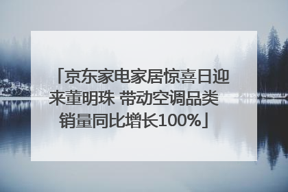 京东家电家居惊喜日迎来董明珠 带动空调品类销量同比增长100%