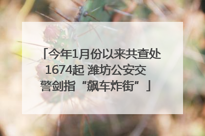 今年1月份以来共查处1674起 潍坊公安交警剑指“飙车炸街”
