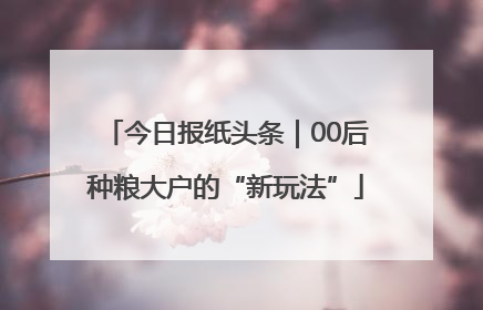 今日报纸头条|00后种粮大户的“新玩法”